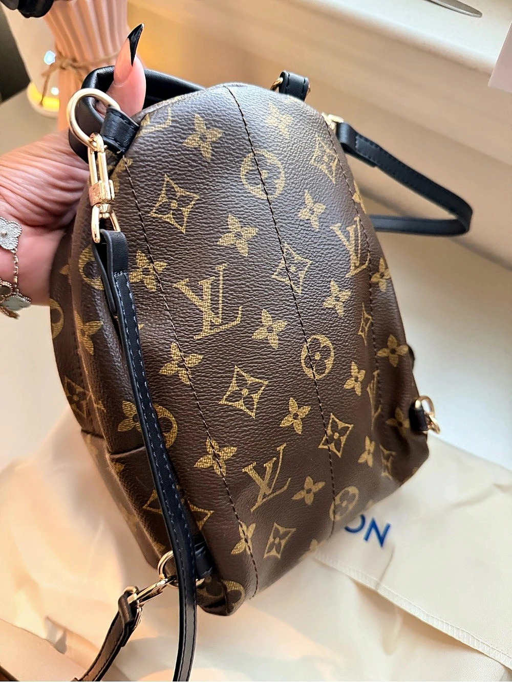 Monogram Palm Springs Mini Backpack - Picture 5 of 13